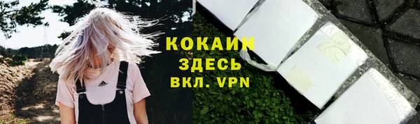 синтетический гашиш Богородицк