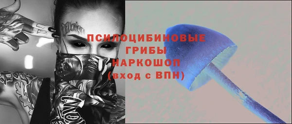 стаф Богданович
