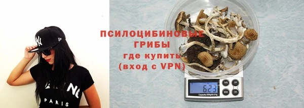 2c-b Богородск