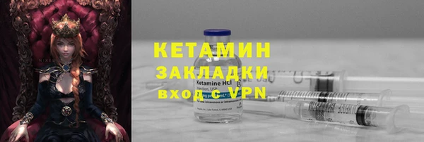 стаф Богданович