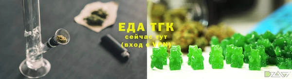 стаф Богданович