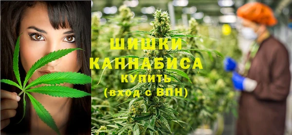 стаф Богданович
